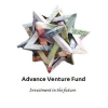 Advance Venture Fund,  Доверительное управление активами инвесторов