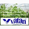 Пропонуємо до продажу тепличну плівку VATAN PLASTIK.