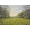 Продается картина "Весенняя долина на Брусино,   Май",   масло,   холст,   30,  5х43,  3