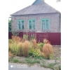 Продам.   дом 7х10,   8сот.  ,   Ясногорка,   все удобства,   вода,   хорошая скважин
